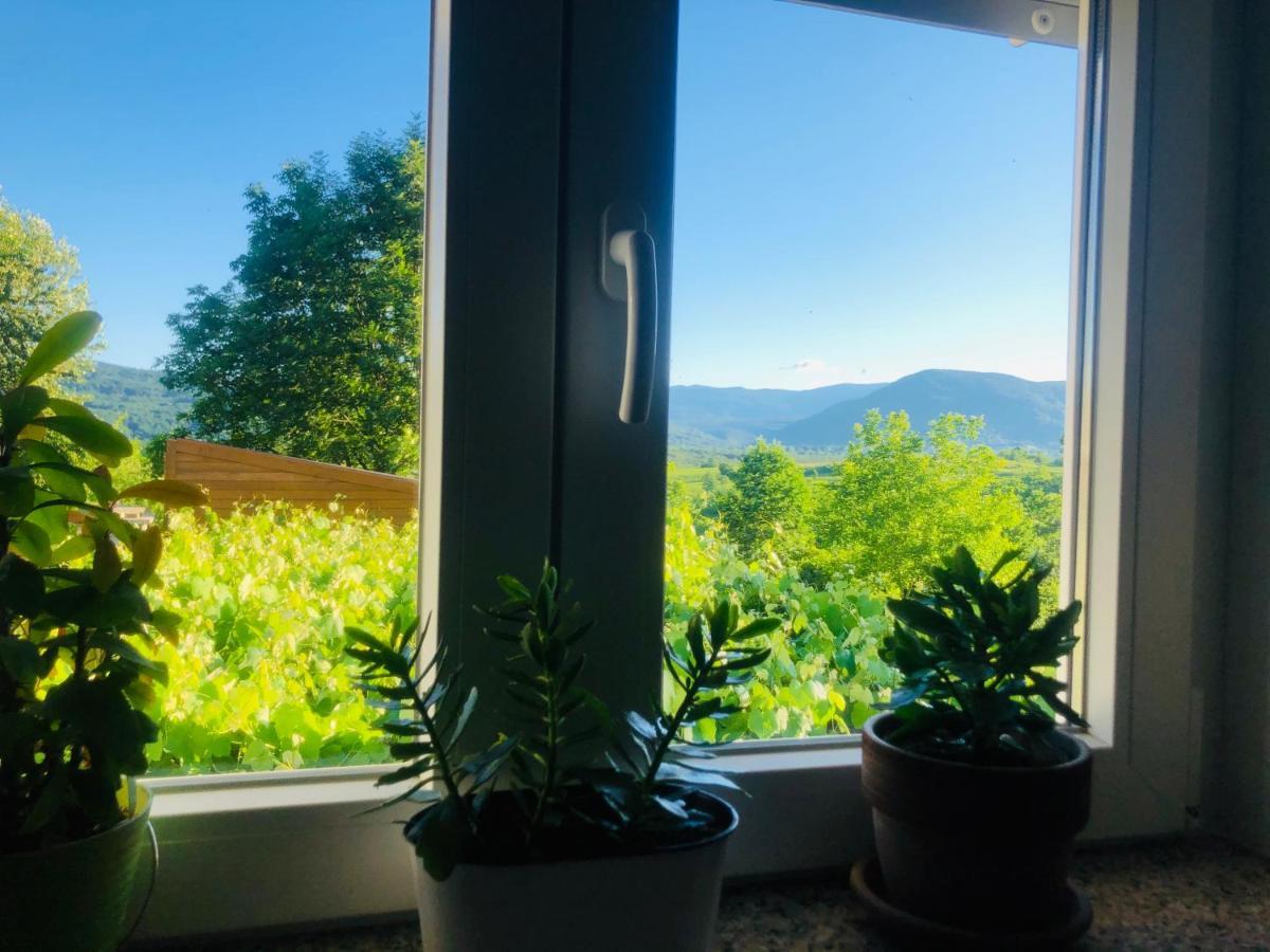 Apartments Smirnov Drežnik Grad Zewnętrze zdjęcie