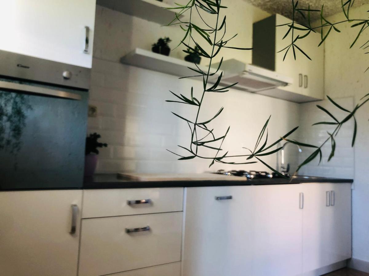 Apartments Smirnov Drežnik Grad Zewnętrze zdjęcie