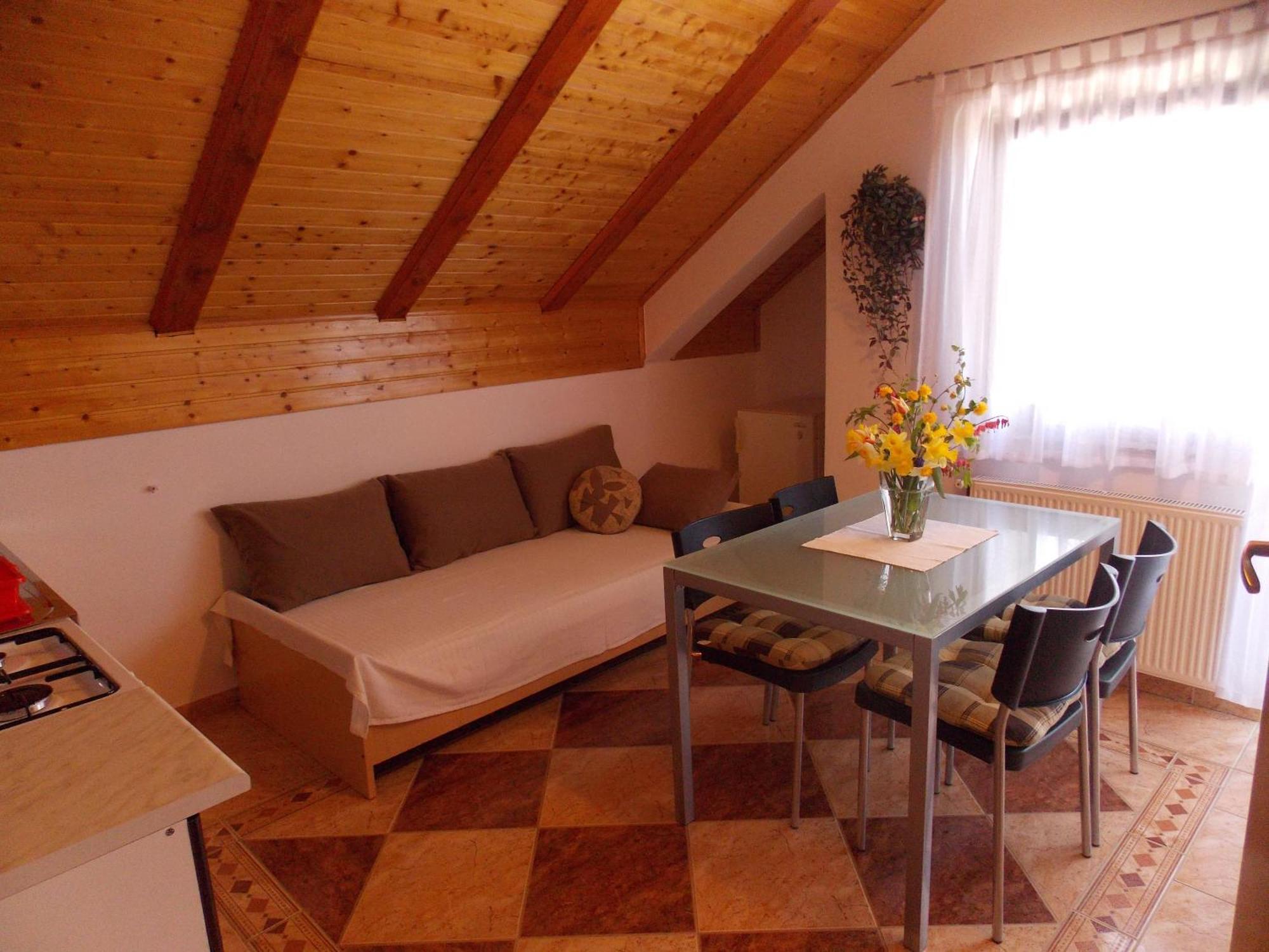 Apartments Smirnov Drežnik Grad Pokój zdjęcie