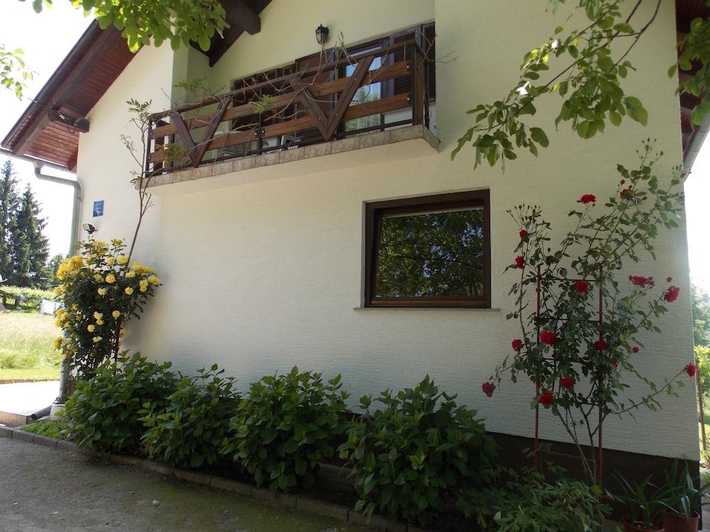 Apartments Smirnov Drežnik Grad Zewnętrze zdjęcie